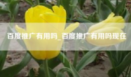 百度推广有用吗_百度推广有用吗现在