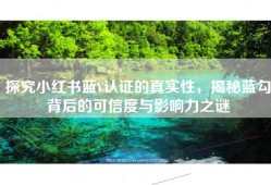 探究小红书蓝V认证的真实性，揭秘蓝勾背后的可信度与影响力之谜