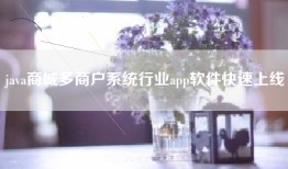 java商城多商户系统行业app软件快速上线
