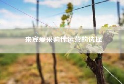 来宾爱采购代运营的选择