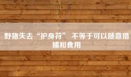 野猪失去“护身符” 不等于可以随意猎捕和食用