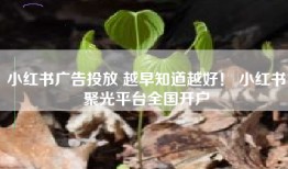 小红书广告投放 越早知道越好！ 小红书聚光平台全国开户