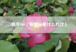 骁龙800（骁龙800是什么档次）
