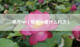 骁龙800（骁龙800是什么档次）