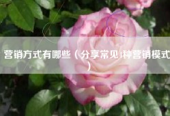 营销方式有哪些（分享常见4种营销模式）