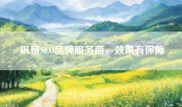 巩留SEO品牌服务商，效果有保障