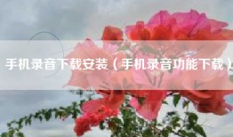 手机录音下载安装（手机录音功能下载）