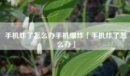 手机炸了怎么办手机爆炸「手机炸了怎么办」