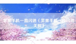 苹果手机一直闪退（苹果手机一直闪退关机）