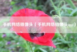 手机网络摄像头（手机网络摄像头app）