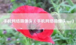 手机网络摄像头（手机网络摄像头app）