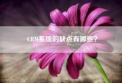 CRM系统的缺点有哪些？