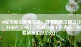 18家高颜值手机壳店，好看到自拍都加分！好看的手机「18家高颜值手机壳店，好看到自拍都加分！」