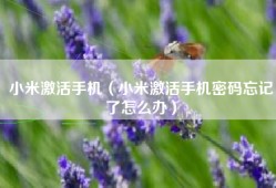 小米激活手机（小米激活手机密码忘记了怎么办）