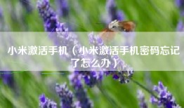 小米激活手机（小米激活手机密码忘记了怎么办）