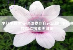 小红书搜索关键词找到自己品牌_小红书找爆款搜索关键词