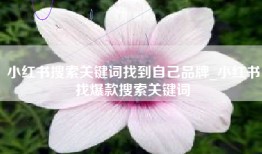 小红书搜索关键词找到自己品牌_小红书找爆款搜索关键词