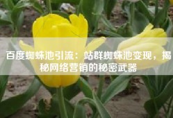 百度蜘蛛池引流：站群蜘蛛池变现，揭秘网络营销的秘密武器