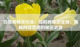 百度蜘蛛池引流：站群蜘蛛池变现，揭秘网络营销的秘密武器