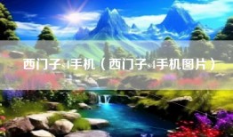 西门子s4手机（西门子s4手机图片）