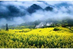 梦见黄金一箭双雕是指代表什么生肖，答案精准落实