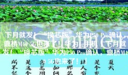 下月就发！“换芯版”华为P50 Pro确认，鼎桥M40 5G也来了！华为4g手机「下月就发！“换芯版”华为P50 Pro确认，鼎桥M40 5G也来了！」