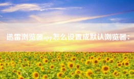迅雷浏览器app怎么设置成默认浏览器：