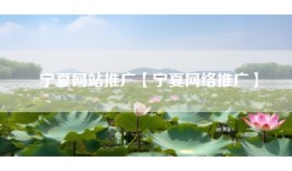 宁夏网站推广【宁夏网络推广】