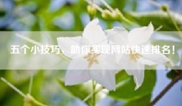 五个小技巧，助你实现网站快速排名！