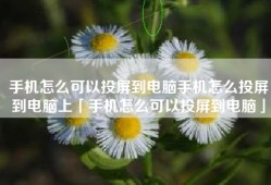 手机怎么可以投屏到电脑手机怎么投屏到电脑上「手机怎么可以投屏到电脑」