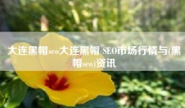 大连黑帽seo大连黑帽 SEO市场行情与(黑帽seo)资讯