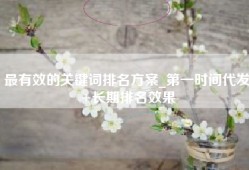 最有效的关键词排名方案_第一时间代发+长期排名效果