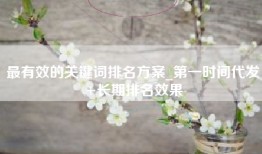 最有效的关键词排名方案_第一时间代发+长期排名效果