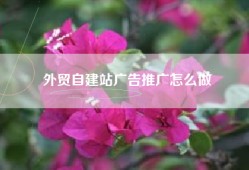 外贸自建站广告推广怎么做