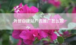 外贸自建站广告推广怎么做