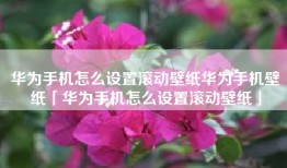 华为手机怎么设置滚动壁纸华为手机壁纸「华为手机怎么设置滚动壁纸」