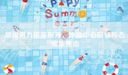 胡锡进力挺吴柳芳，体操中心前领导态度成焦点