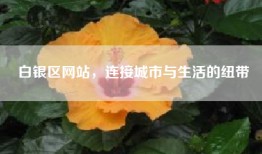 白银区网站，连接城市与生活的纽带