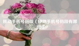 移动手机号码段（移动手机号码段有哪些）