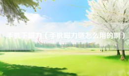 手机下磁力（手机磁力链怎么用的啊）