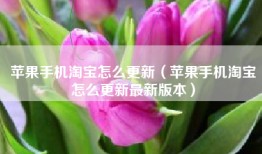 苹果手机淘宝怎么更新（苹果手机淘宝怎么更新最新版本）