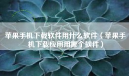 苹果手机下载软件用什么软件（苹果手机下载应用用哪个软件）
