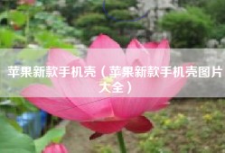 苹果新款手机壳（苹果新款手机壳图片大全）