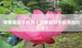 苹果新款手机壳（苹果新款手机壳图片大全）