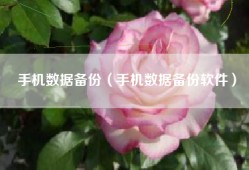 手机数据备份（手机数据备份软件）