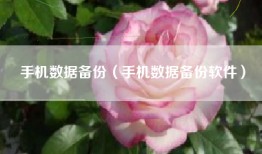 手机数据备份（手机数据备份软件）