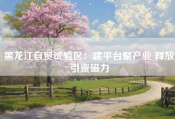 黑龙江自贸试验区：建平台聚产业 释放引资磁力