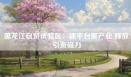 黑龙江自贸试验区：建平台聚产业 释放引资磁力