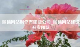 顺德网站制作有哪些公司_顺德网站建设开发团队