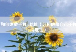 如何隐藏手机ip地址（如何隐藏自己手机ip地址）